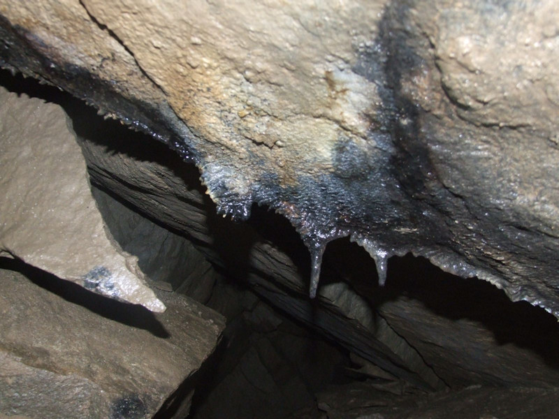 Siliceous-argillaceous speleothems in Jaskinia Wiślańska